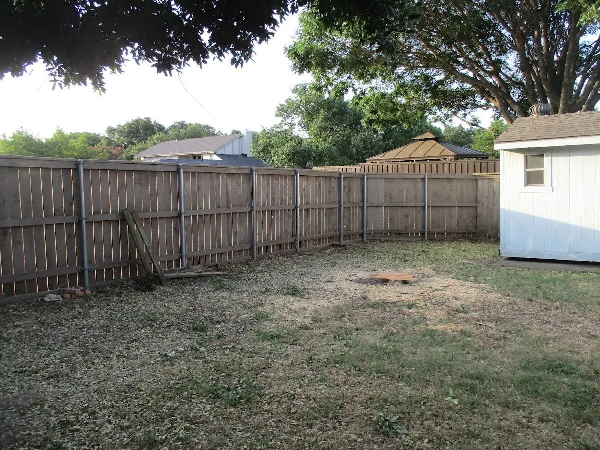 Cleared yard after professional tree removal in Florence